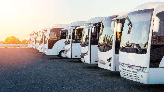 busy na wynajem firmy transportowej