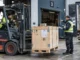 Pracownicy przygotowują skrzynię transportową do odbioru z rampy magazynu